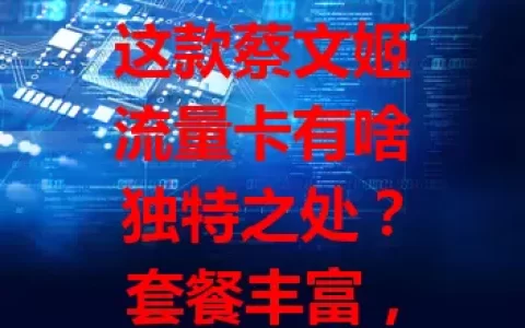这款蔡文姬流量卡有啥独特之处？套餐丰富，费用有优势，网络稳定！但选它得留意条款细节，掌握信息才能发挥优势，畅享便捷上网体验，99%的人都该了解下！