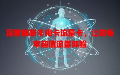 深度解析冬梅卡流量卡，让你畅享超值流量体验