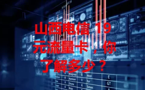 山西电信 19 元流量卡，你了解多少？