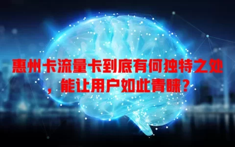 惠州卡流量卡到底有何独特之处，能让用户如此青睐？