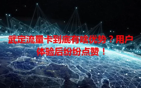 武定流量卡到底有啥优势？用户体验后纷纷点赞！