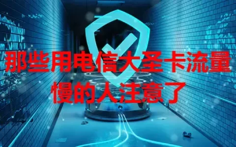 那些用电信大圣卡流量慢的人注意了