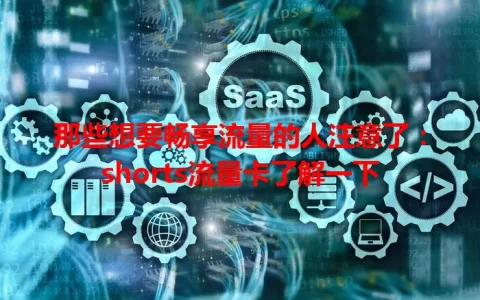 那些想要畅享流量的人注意了：shorts流量卡了解一下