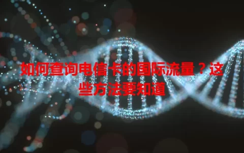 如何查询电信卡的国际流量？这些方法要知道