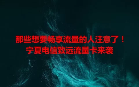 那些想要畅享流量的人注意了！宁夏电信致远流量卡来袭