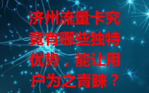 济州流量卡究竟有哪些独特优势，能让用户为之青睐？