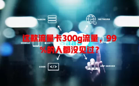 这款流量卡300g流量，99%的人都没见过？