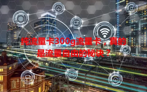 纯流量卡300g流量卡，真的是流量自由的秘诀？