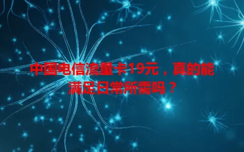 中国电信流量卡19元，真的能满足日常所需吗？