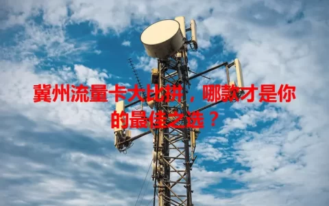 冀州流量卡大比拼，哪款才是你的最佳之选？