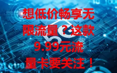 想低价畅享无限流量？这款9.99元流量卡要关注！数字化时代流量需求大，它对学生和上班族都是福音。选卡别只看价格，还要留意网络等因素。办理前了解详情规则，理性使用，让它成网络生活好帮手。