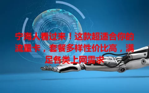 宁海人看过来！这款超适合你的流量卡，套餐多样性价比高，满足各类上网需求