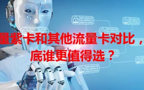 流量紫卡和其他流量卡对比，到底谁更值得选？
