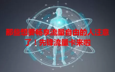 那些想要畅享流量自由的人注意了！先锋流量卡来啦