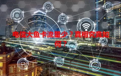 电信大鱼卡流量少？真相究竟如何？