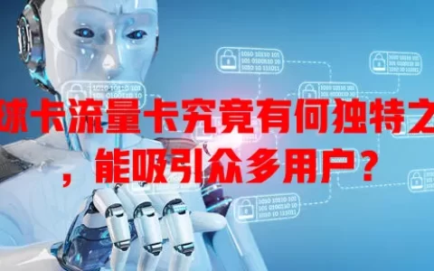 地球卡流量卡究竟有何独特之处，能吸引众多用户？