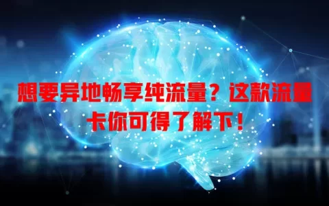 想要异地畅享纯流量？这款流量卡你可得了解下！