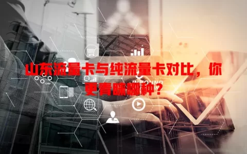 山东流量卡与纯流量卡对比，你更青睐哪种？