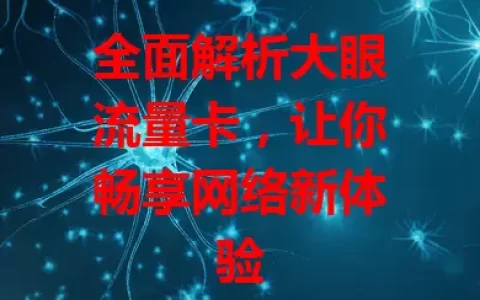 全面解析大眼流量卡，让你畅享网络新体验