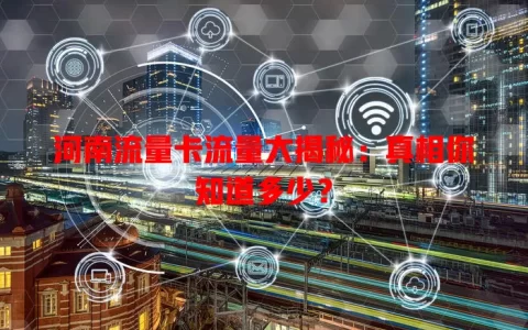 河南流量卡流量大揭秘：真相你知道多少？