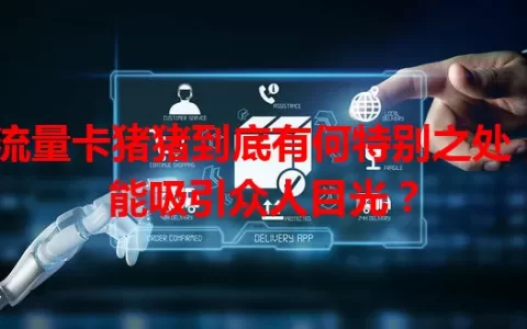 流量卡猪猪到底有何特别之处，能吸引众人目光？