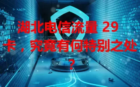 湖北电信流量 29 卡，究竟有何特别之处？