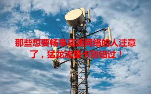 那些想要畅享高速网络的人注意了，猛龙流量卡别错过！