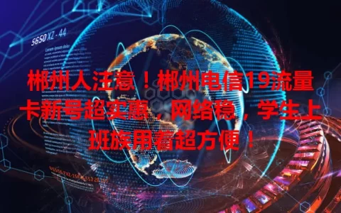 郴州人注意！郴州电信19流量卡新号超实惠，网络稳，学生上班族用着超方便！