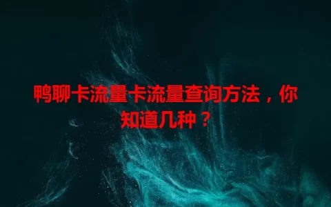 鸭聊卡流量卡流量查询方法，你知道几种？