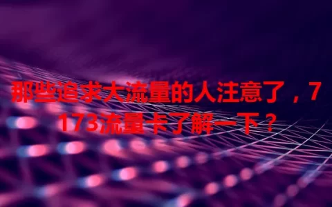 那些追求大流量的人注意了，7173流量卡了解一下？