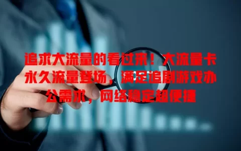 追求大流量的看过来！大流量卡永久流量登场，满足追剧游戏办公需求，网络稳定超便捷