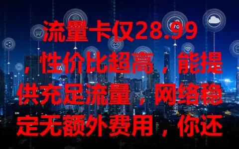 流量卡仅28.99，性价比超高，能提供充足流量，网络稳定无额外费用，你还不心动？
