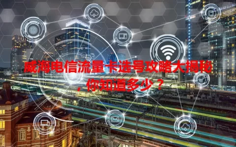威海电信流量卡选号攻略大揭秘，你知道多少？