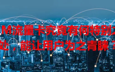 UM流量卡究竟有何特别之处，能让用户为之青睐？