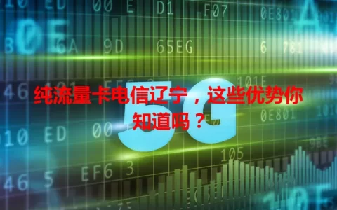 纯流量卡电信辽宁，这些优势你知道吗？