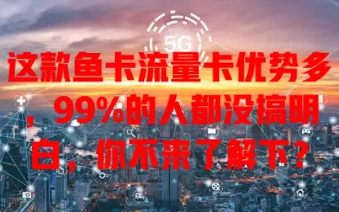 这款鱼卡流量卡优势多，99%的人都没搞明白，你不来了解下？