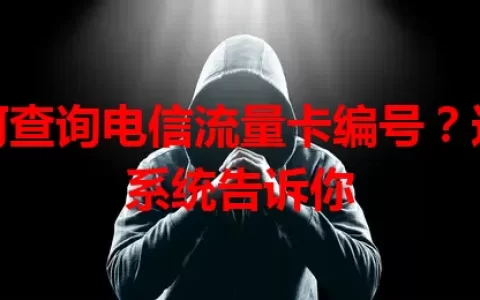 如何查询电信流量卡编号？这个系统告诉你