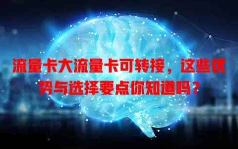流量卡大流量卡可转接，这些优势与选择要点你知道吗？
