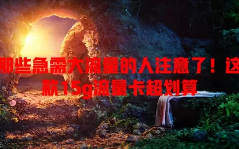 那些急需大流量的人注意了！这款15g流量卡超划算