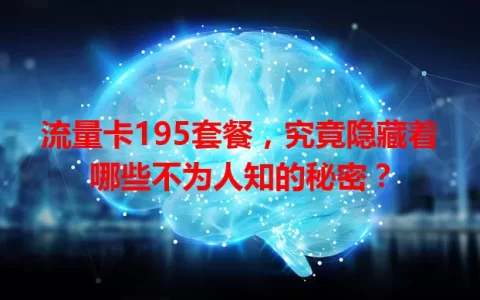 流量卡195套餐，究竟隐藏着哪些不为人知的秘密？