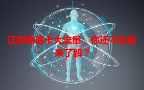辽阳电信卡大流量，你还不赶紧来了解？
