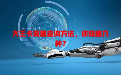 大王卡流量查询方法，你知道几种？