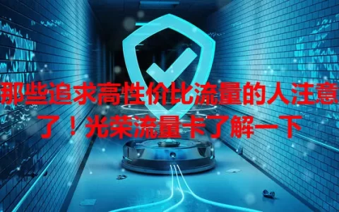 那些追求高性价比流量的人注意了！光荣流量卡了解一下