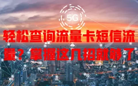 轻松查询流量卡短信流量？掌握这几招就够了