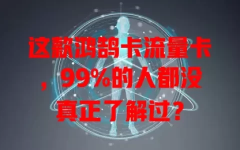 这款鸿鹄卡流量卡，99%的人都没真正了解过？