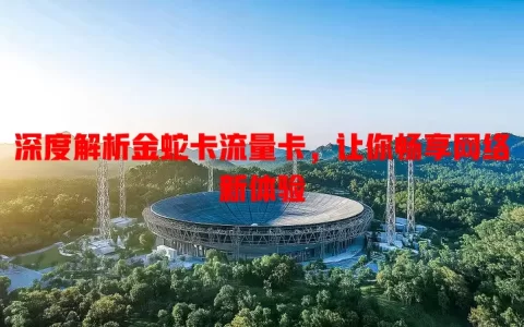 深度解析金蛇卡流量卡，让你畅享网络新体验
