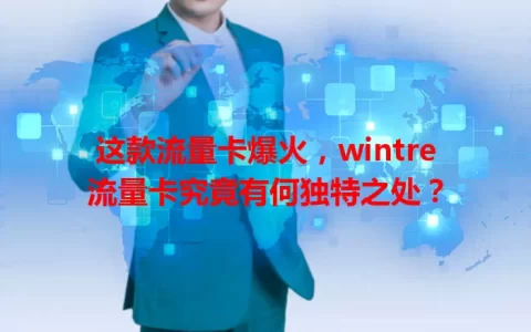这款流量卡爆火，wintre流量卡究竟有何独特之处？