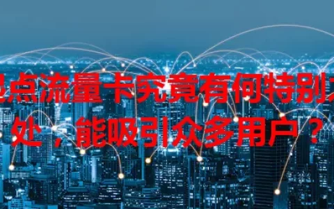 起点流量卡究竟有何特别之处，能吸引众多用户？