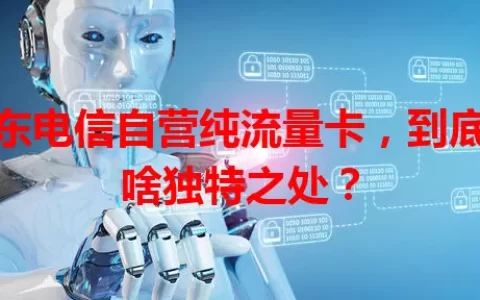 京东电信自营纯流量卡，到底有啥独特之处？
