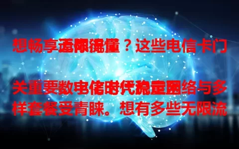 想畅享无限流量？这些电信卡门道你得懂

数字化时代流量至关重要，电信卡凭稳定网络与多样套餐受青睐。想有多些无限流量电信卡？了解套餐，关注优惠，依自身习惯选，深入了解体系结合需求选，就能畅享便利。
